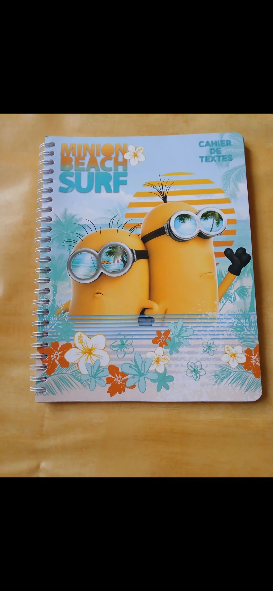 Cahier de texte les minions